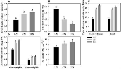 Nitrogen Levels Regulate Sugar Metabolism and Transport in the Shoot Tips of Crabapple Plants